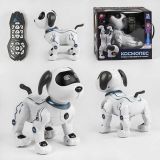 Собачка інтерактивна на р/у "TK Group", УКР.ОЗУЧ., виконує команди, LED світло, розповідає казку, співає пісні, в кор. /6/